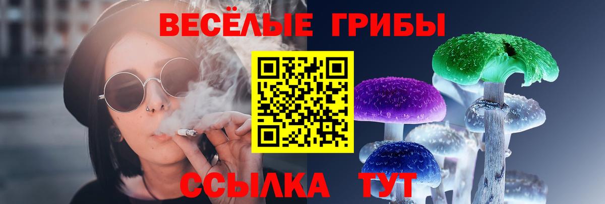 Псилоцибиновые грибы мицелий  Галлюциногенные грибы Cubensis  Родники  Вход с VPN 